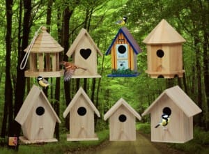 bird houses ar 300x221 1